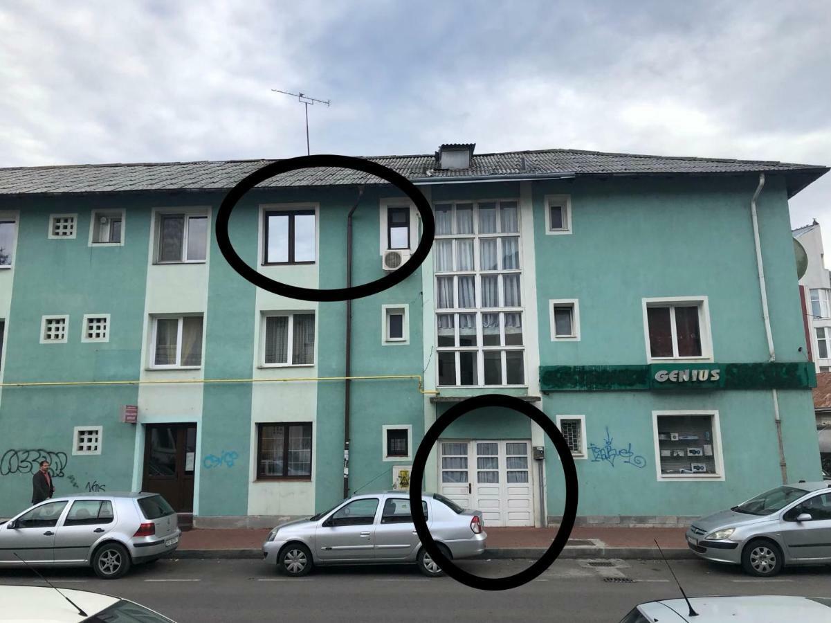 Vintage Apartment Suceava Exterior photo
